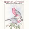 Birds of Australia