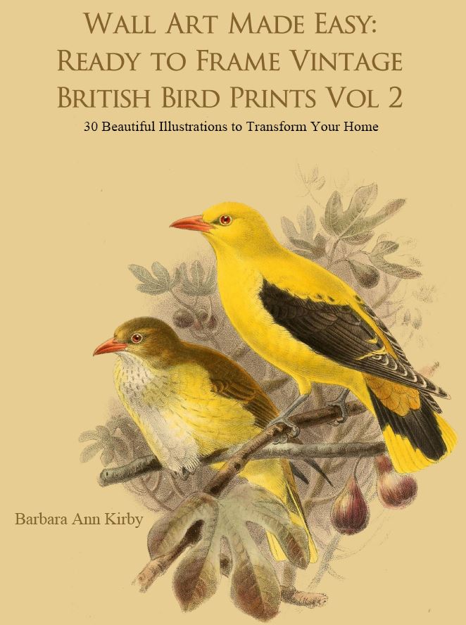 British Bird Prints Vol 2 Wall Art Made Easy
